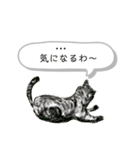 猫ねこネコたちのあいさつ（個別スタンプ：27）