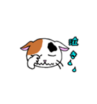我々は猫だ(ミケVer.)（個別スタンプ：5）