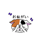 我々は猫だ(ミケVer.)（個別スタンプ：20）