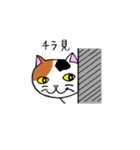 我々は猫だ(ミケVer.)（個別スタンプ：23）