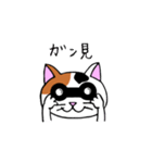 我々は猫だ(ミケVer.)（個別スタンプ：24）