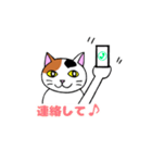 我々は猫だ(ミケVer.)（個別スタンプ：28）