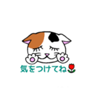 我々は猫だ(ミケVer.)（個別スタンプ：30）
