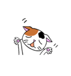 我々は猫だ(ミケVer.)（個別スタンプ：37）