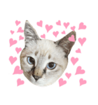 ♡Lilly♡（個別スタンプ：8）