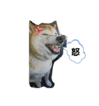 燃焼パート2（個別スタンプ：8）