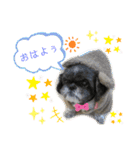 プーとクッキーとムースのスタンプ（個別スタンプ：4）