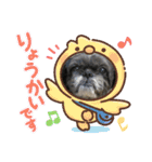 プーとクッキーとムースのスタンプ（個別スタンプ：10）