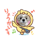 プーとクッキーとムースのスタンプ（個別スタンプ：16）