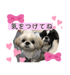 プーとクッキーとムースのスタンプ（個別スタンプ：21）