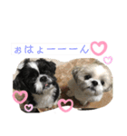 プーとクッキーとムースのスタンプ（個別スタンプ：22）