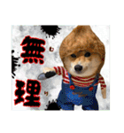 豆柴 虎太郎♡（個別スタンプ：7）