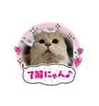 ひめにゃん1（個別スタンプ：2）