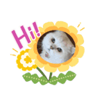 ひめにゃん1（個別スタンプ：6）