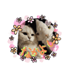 ひめにゃん1（個別スタンプ：9）