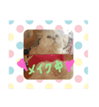 ひめにゃん1（個別スタンプ：16）