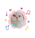 ひめにゃん1（個別スタンプ：22）