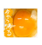 EGGな毎日4    化粧映えしたね( ´∀`)（個別スタンプ：4）