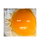 EGGな毎日4    化粧映えしたね( ´∀`)（個別スタンプ：14）