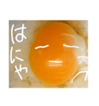 EGGな毎日4    化粧映えしたね( ´∀`)（個別スタンプ：21）