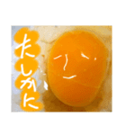 EGGな毎日4    化粧映えしたね( ´∀`)（個別スタンプ：22）