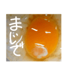 EGGな毎日4    化粧映えしたね( ´∀`)（個別スタンプ：33）