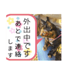 サビ猫ななち怖顔スタンプ第2弾（個別スタンプ：6）