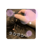 ハナ先輩4（個別スタンプ：1）