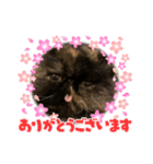 ハナ先輩4（個別スタンプ：6）