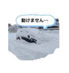 てしスタンプ確定版（個別スタンプ：14）