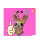 うささちゃんスタンプ（個別スタンプ：5）