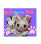 うささちゃんスタンプ（個別スタンプ：8）