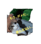 バロンさんとエマさん（個別スタンプ：3）