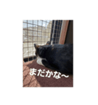 バロンさんとエマさん（個別スタンプ：12）