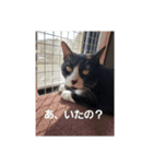 バロンさんとエマさん（個別スタンプ：13）