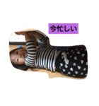 まきっち10（個別スタンプ：4）