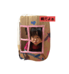 まきっち10（個別スタンプ：8）