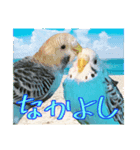 ちゅら達の日常（個別スタンプ：2）