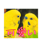 ちゅら達の日常（個別スタンプ：3）
