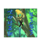 ちゅら達の日常（個別スタンプ：5）
