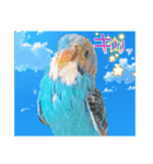 ちゅら達の日常（個別スタンプ：6）
