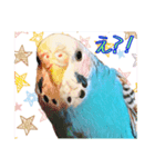 ちゅら達の日常（個別スタンプ：8）