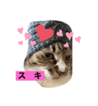 ニャアのスタンプB（個別スタンプ：3）
