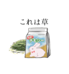 ふぅちゃんの生活（個別スタンプ：8）