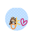 キリコの毎日（個別スタンプ：1）