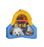 ハル＆モチャ1（個別スタンプ：8）