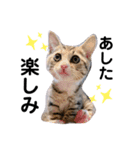 になはるちび 〜あしたシリーズ〜（個別スタンプ：7）