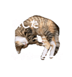 になはるちび 〜あしたシリーズ〜（個別スタンプ：14）