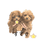 トイプードルのmayちゃん7（個別スタンプ：6）