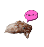 neu＆andy2（個別スタンプ：5）